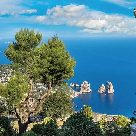 Bed & Breakfast Dell'artista Vico Equense